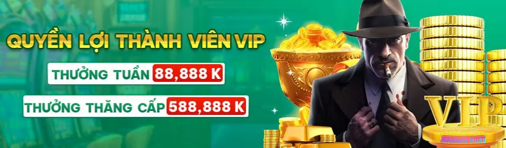 VIP member benefits 7hu88 .com
